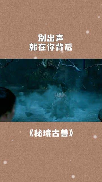 救援狗与猫