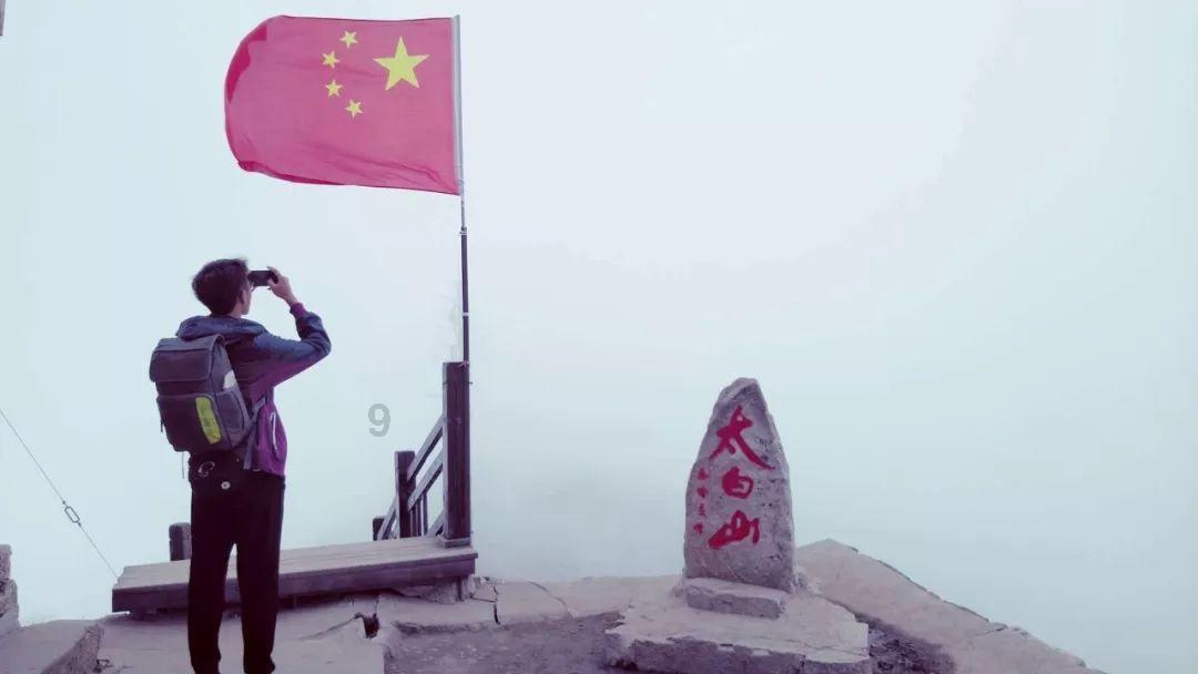 救援受困的老虎